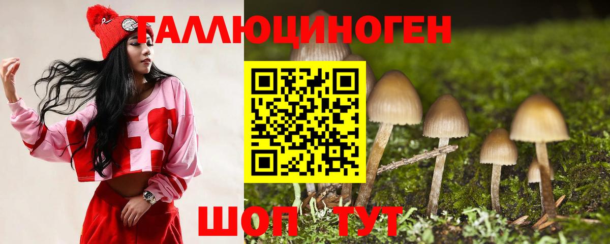 Псилоцибиновые грибы GOLDEN TEACHER Югорск